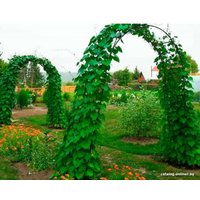 Арка садовая Лиана Лесенка ЗА-583 (разборная) в Витебске