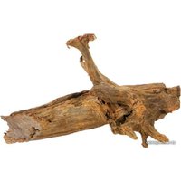 Декорация AquaEl Mangrove Root M 25-45 см в Гомеле