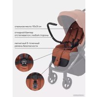 Коляска прогулочная «книга» Rant Golf RA101 (maroon brown)