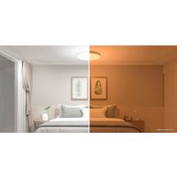 Светильник-тарелка Xiaomi Mi Smart LED Ceiling Light
