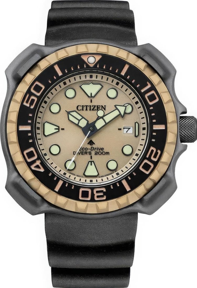 Наручные часы Citizen Promaster BN0226-10P