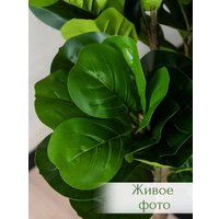 Искусственное растение Merry Bear Home Decor Фикус Лировидный A600090