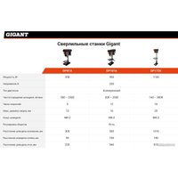 Сверлильный станок Gigant DP1016