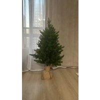 Ель National Tree Company Грация Премиум ГР/ПР-90 90 см