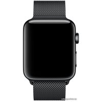 Браслет Apple Миланский сетчатый браслет 42 мм (черный космос) [MLJH2]