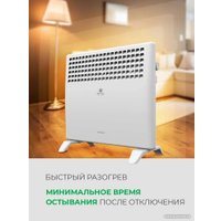 Конвектор Royal Clima ATRI Econo REC-AE1000M