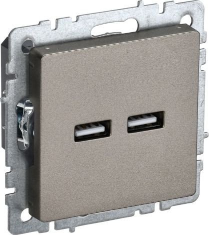 Розетка USB IEK Brite BR-U21-D31-K37