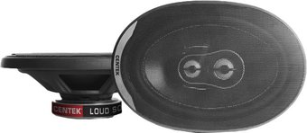 Коаксиальная АС CENTEK CT-8401-69