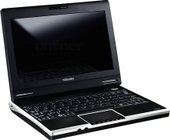 Toshiba NB100 (111)