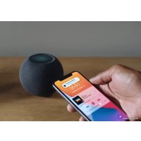 Умная колонка Apple HomePod Mini (серый космос)