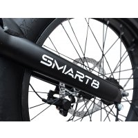 Электровелосипед Smart8 Saturn Lite (черный)