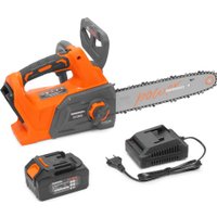 Аккумуляторная пила Daewoo Power DACS 3021Li Set (с 1-м АКБ)