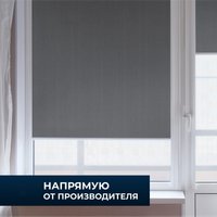 Рулонные шторы Franc Gardiner Blackout Dublin 110x160 6533513 (серый)