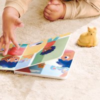 Развивающая игра Hape Мальчик и кошка E3432_HP в Солигорске