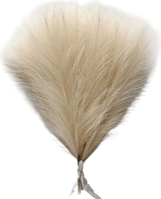 

Искусственный букет Sundays Home Камыши 6405000801A (15 шт, бежевый)