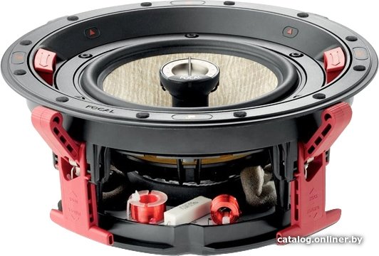 Focal 300ICW6