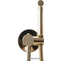 Гигиенический душ Rea Loop REA-B8979 (золотой)