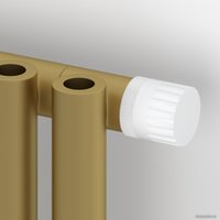 Стальной трубчатый радиатор Сунержа Эстет-0 EU50 правый 500х135 3 секции (матовое золото)