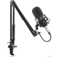 Проводной микрофон Genesis Radium 300 XLR