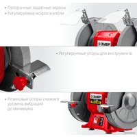 Заточный станок Зубр Мастер СТ-200 в Пинске