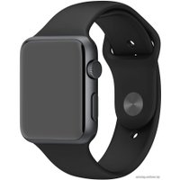 Умные часы Apple Watch Sport 42mm Space Gray with Black Sport Band (MJ3T2)