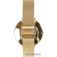 Наручные часы с украшением Skagen SKW1104