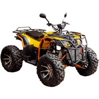 Квадроцикл Zongshen Tundra 300 Lux 4x4 (желтый) в Гомеле