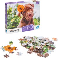 Пазл Dream Makers Зверята RI1203C