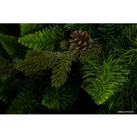 Сосна GreenTerra Рапсодия зеленая 2.2 м