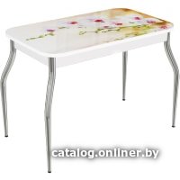Кухонный стол ВВР Прямоугольный (орхидея в воде/подстолье изогнутое)
