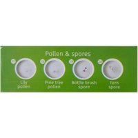 Набор микропрепаратов Levenhuk LabZZ P12 72869 (растения) в Гомеле