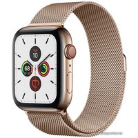 Умные часы Apple Watch Series 5 LTE 44 мм (сталь золотистый/миланский золотой)