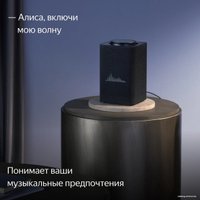 Умная колонка Яндекс Станция Макс (с хабом умного дома Zigbee, графит)