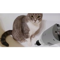 Автомобильный пылесос Ritmix CVC-005