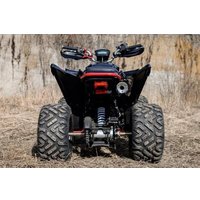 Квадроцикл Motoland Rally 250 (черный/красный)