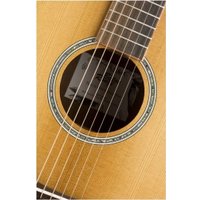 Акустическая гитара Baton Rouge TLW/A