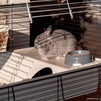 Клетка Ferplast Rabbit 100 Double 57046817