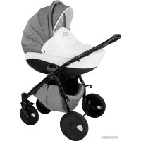 Универсальная коляска Tutis Zippy Silver Plus (3 в 1)