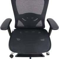 Офисное кресло Evolution Ergo Elite (черный)