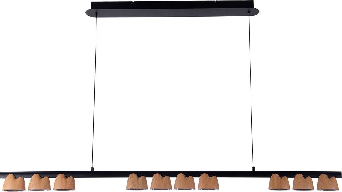 

Подвесная люстра Favourite Interline 4266-10P