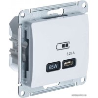 Розетка Type-C Schneider Electric Glossa GSL000127