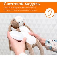 Музыкальная игрушка Zazu Кролик Бо