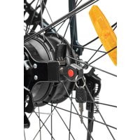 Электровелосипед MyWay Truck 350 24 (темно-зеленый)