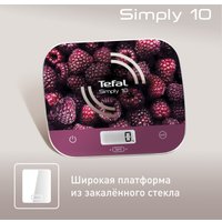 Кухонные весы Tefal BC8000V0
