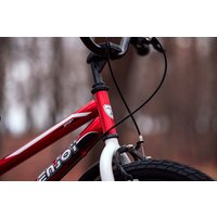 Детский велосипед Lenjoy Sports Finder 20 2024 LS20-1RED (красный)