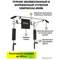 Турник с брусьями Absolute Champion Прогресс (белый)