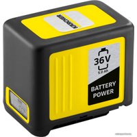 Аккумулятор Karcher Battery Power 36/50 2.445-031.0 (36В/5 Ah)