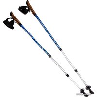 Палки для скандинавской ходьбы BTrace Nw Twist