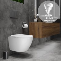 Унитаз подвесной Asten Readle Zentralmodul AR0601-205W