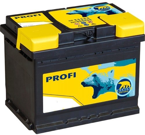 

Автомобильный аккумулятор Baren Profi 7905683 (60 А·ч)